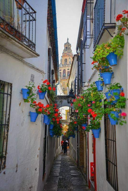 Loft El Arcángel II Córdoba Exterior foto